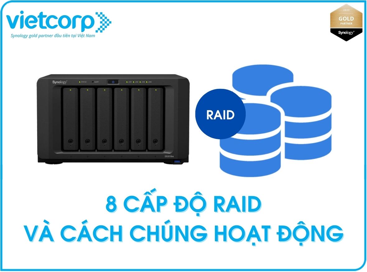 8-cap-do-raid-va-cach-chung-hoat-dong