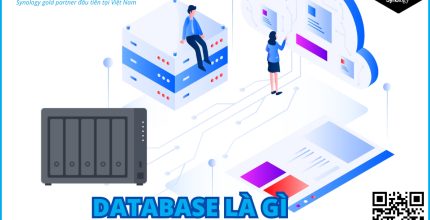 Database