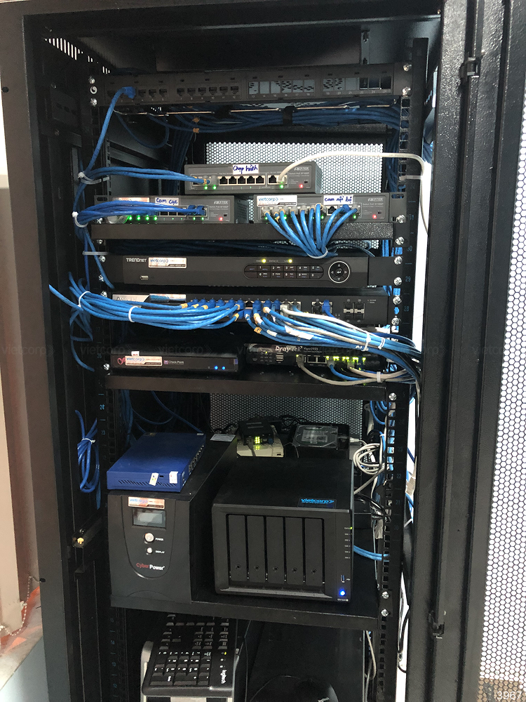 Hành trình số hóa của trạm đăng kiểm tại Hồ Chí Minh