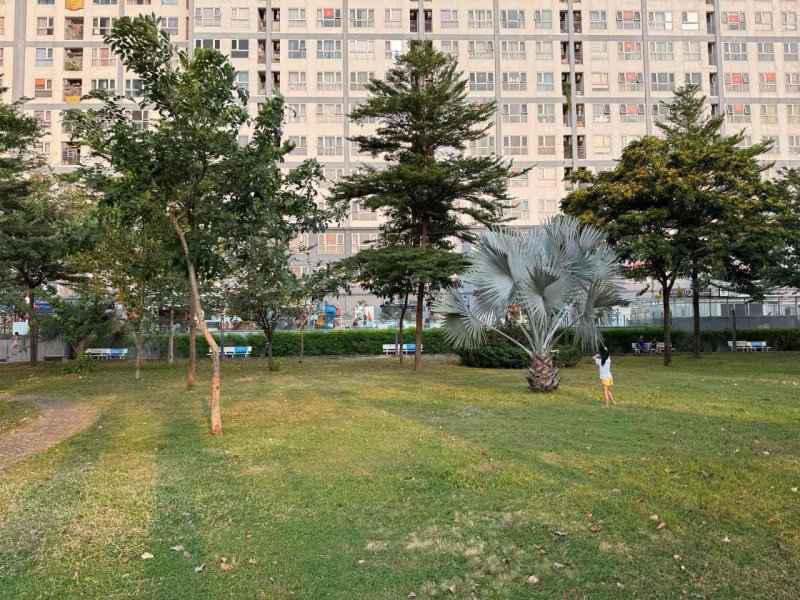 Vietcorp_quyen_gop_ghe_da_danh_tang_khu_pho_50_ho_chi_minh (9).jpg