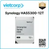 Synology HAS5300-12T
