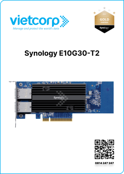 Synology E10G30-T2