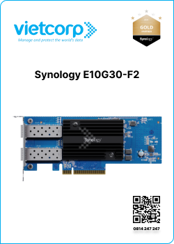 Synology E10G30-F2