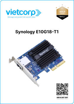 Synology E10G18-T1