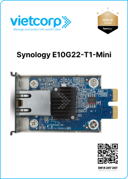Synology E10G22-T1-Mini