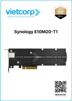 Synology E10M20-T1