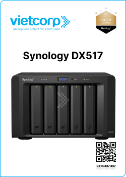 Synology DX517