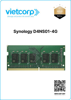 Synology D4NS01-4G