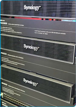 Synology PAS3600