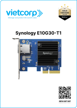 Synology E10G30-T1