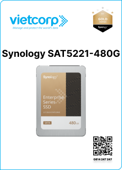 Synology SAT5221-480G