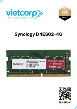 Synology D4ES02-4G