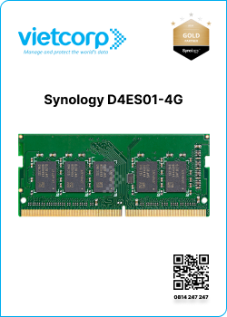 Synology D4ES01-4G