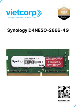Synology D4NESO-2666-4G