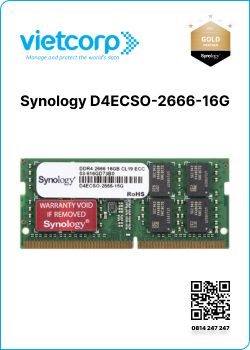 Synology D4ECSO-2666-16G