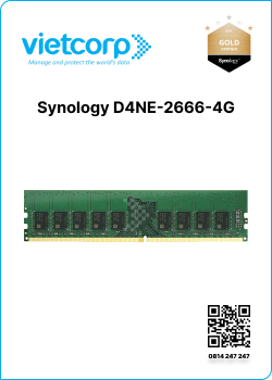 Synology D4NE-2666-4G