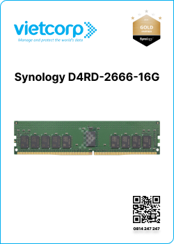Synology D4RD-2666-16G